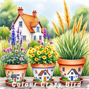 May include: Watercolor painting of three terracotta flower pots filled with colorful flowers and tall grasses. Each pot features a painted house design. The background includes a house with an orange roof and lush greenery. The text "Colour Crazy Bird" is at the bottom.