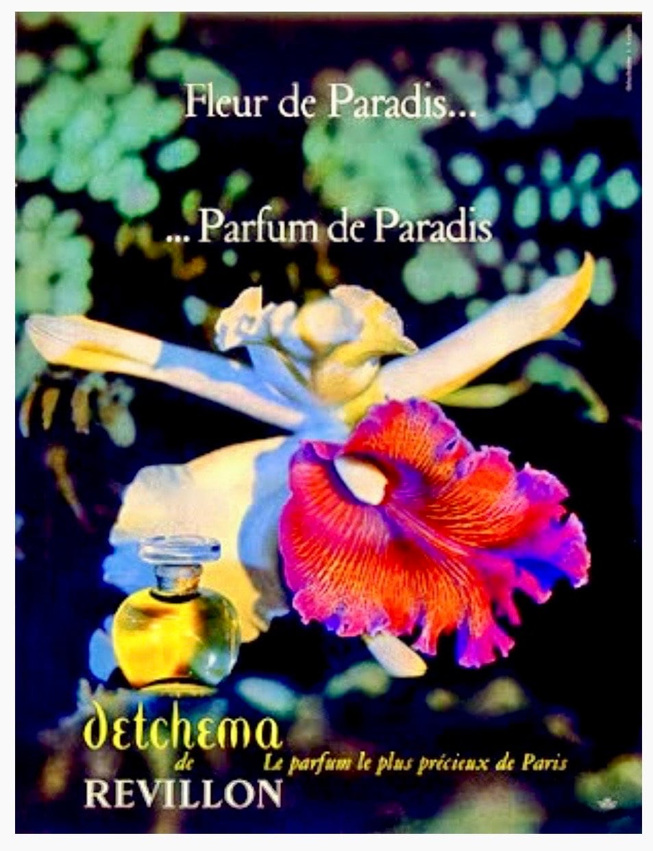 DETCHEMA Revillon Paris Parfum De Toilette 2fl.oz. - Etsy