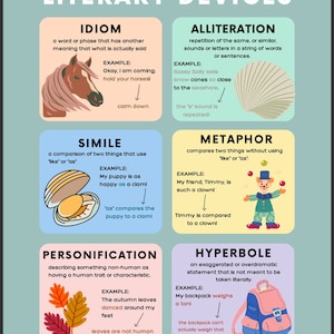 EDUCATIONAL- literary devices
