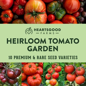 Heirloom Tomato Seed Collection - 10 Varieties