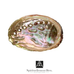 Könnte beinhalten: Eine schillernde Abalone-Schale mit perlmuttartigem Innenraum, die Farbtöne von Rosa, Grün und Gold aufweist. Die Schale hat mehrere kleine Löcher an ihrem Rand. Das Logo von Spirituellement Bien. Holistique Store befindet sich unten.