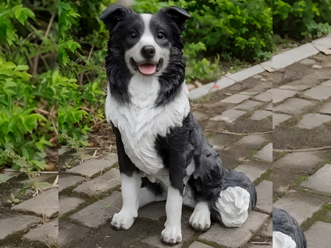 Large Border Collie Statue Dog Statue for Garden or Home Etsy
