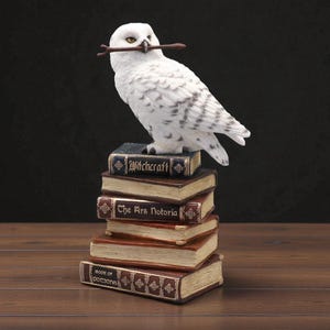 Può includere: Una statuetta di gufo bianco con macchie nere, che tiene un ramoscello nel becco, appollaiata su una pila di libri antichi. I libri sono intitolati "Witchcraft", "The Ars Notoria" e "Book of Potions".