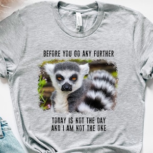 Sarcasm Shirt, Funny Lemur Meme T Shirt, Sarcastic T-shirt, Lemur Slogan Sentence Shirt