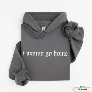 May include: A charcoal gray hoodie with a white print that says "i wanna go home" in a gothic font.