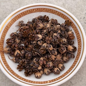 May include: A white ceramic bowl with a gold and brown decorative rim filled with dried brown seed pods. The seed pods have a star-like shape and are clustered together. The bowl is set against a neutral background.