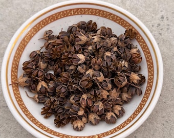Vainas de semillas de mirto crespón secas - Paquete de más de 100 piezas en bolsa con cierre hermético (14 g) / Manualidades naturales para coronas, popurrí y arreglos florales