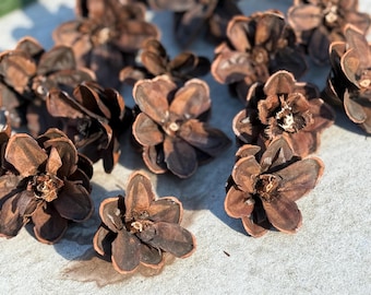 Flores de piñas naturales hechas a mano – Decoración rústica sin tratar