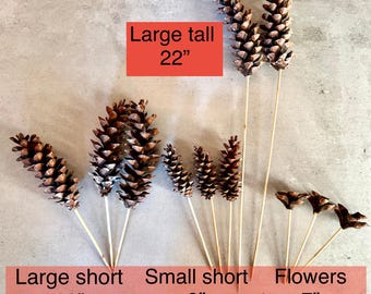 Pinecone Picks on Bamboo Skewers - Large & Small Sizes for Holiday Floral centerpiece Arrangements Decor