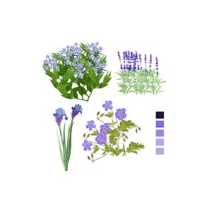 Hand rendered botanical png cutouts - for garden designers and architects