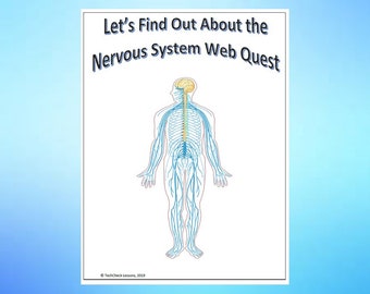Nervous System Science Webquest Internet Activity - Editable DIGITAL DOWNLOAD