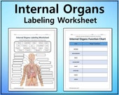 Internal Organs Labeling & Functions Science Worksheet/Printable/Graphic Organizer Editable DIGITAL DOWNLOAD