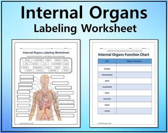 Internal Organs Labeling & Functions Science Worksheet/Printable/Graphic Organizer Editable DIGITAL DOWNLOAD