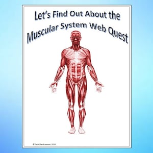 Muscular System Science Webquest Internet Activity - Editable DIGITAL DOWNLOAD