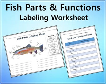 Fish Parts & Functions Labeling Worksheet -  Editable DIGITAL DOWNLOAD