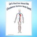 Circulatory System Science Webquest Internet Activity - Editable ...