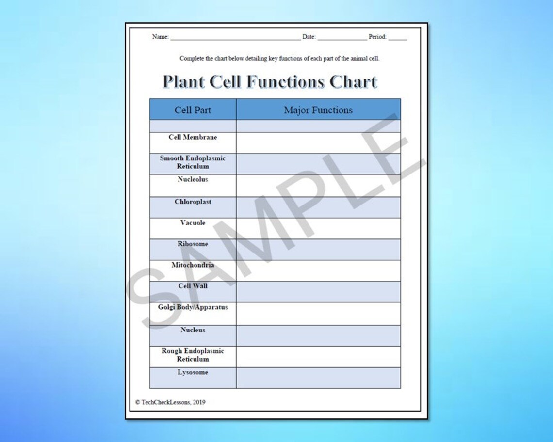 Plant Cell Labeling & Functions Science Worksheet - Editable DIGITAL ...