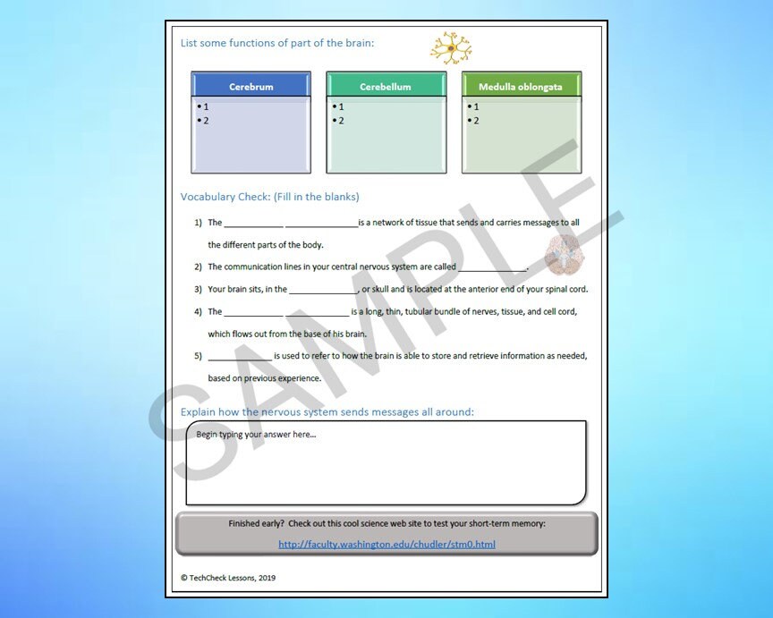 Nervous System Science Webquest Internet Activity - Editable DIGITAL ...