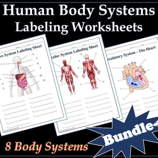 Human Body Systems Labeling Worksheets/Aktivität/druckbares Bundle - Wissenschaft - Editierbar DIGITAL DOWNLOAD