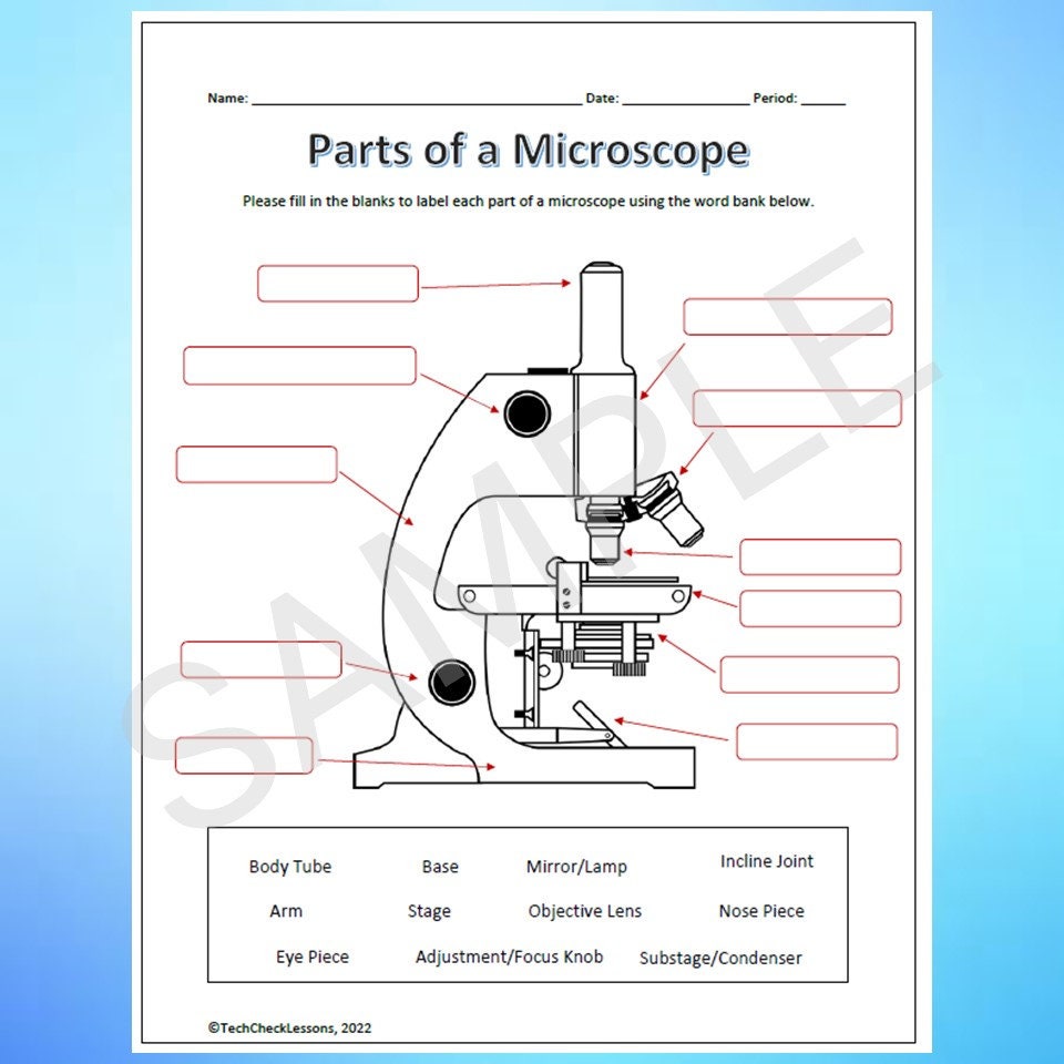 Parts of a Microscope Labeling & Functions Worksheet Science Editable ...