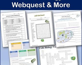 Animal Cells Webquest - Biology Science Internet Activity - Editable DIGITAL DOWNLOAD