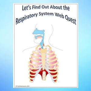 Respiration System Science Webquest Internet Activity - Bearbeitbarer DIGITALER DOWNLOAD