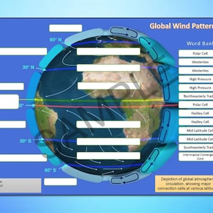 Global Wind Patterns Labeling Worksheet & Vocabulary Matching - Editable Printable DIGITAL DOWNLOAD