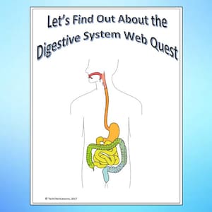 Digestive System Science Webquest Internet Activity - Editable DIGITAL DOWNLOAD
