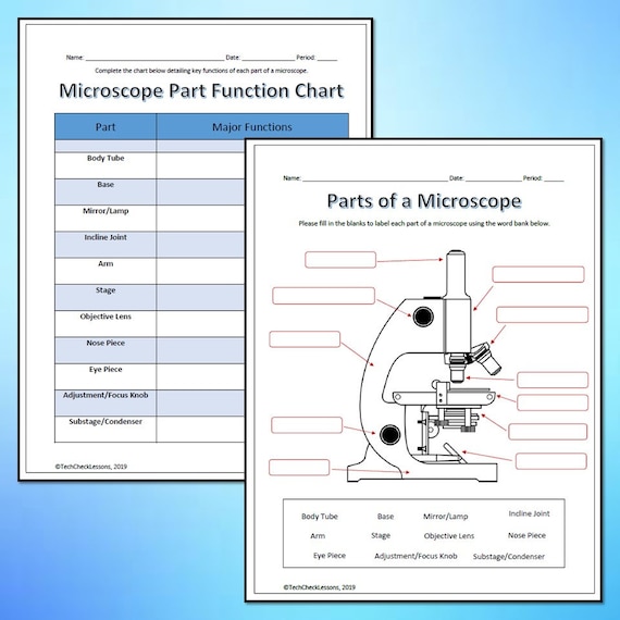 Parts Of A Microscope Worksheet For Kids