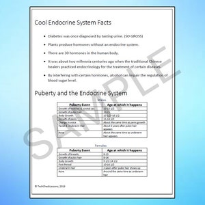 Endocrine System Science Webquest Internet Activity - Editable DIGITAL ...