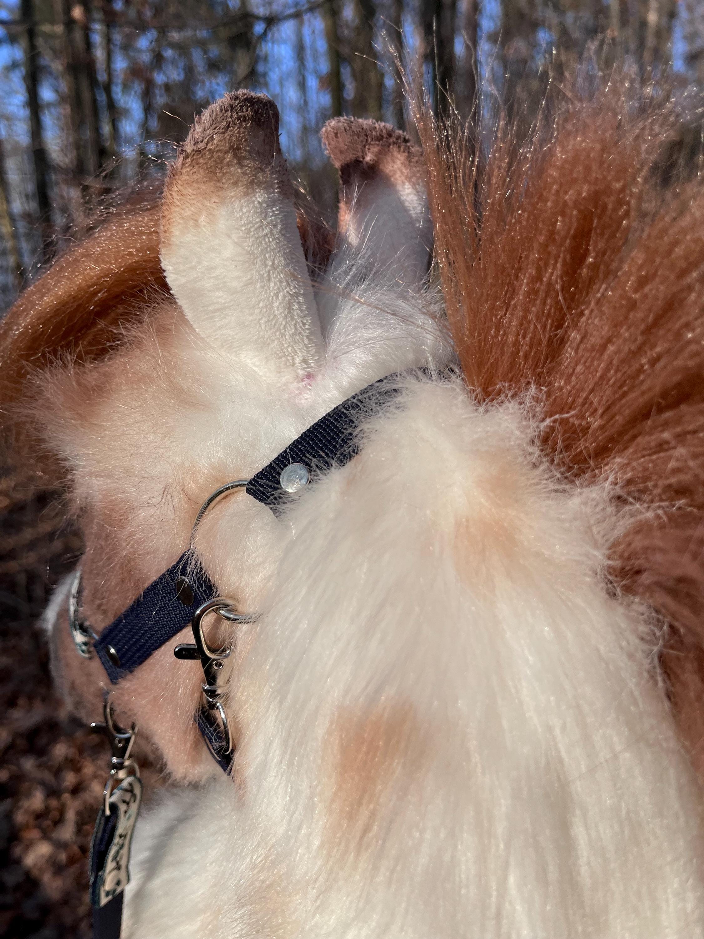 Rênes De Cheval De Loisir – Noires Avec Peluche – Neuves (cheval Non Inclus)
