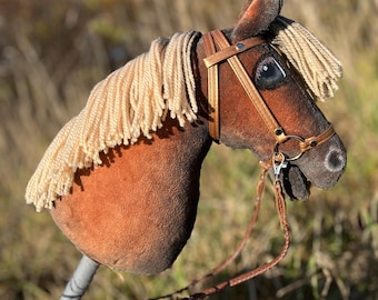 May include: A brown hobby horse with a tan mane and a brown bridle. The toy horse has a gray stick and is set against a blurred background of green and brown foliage.