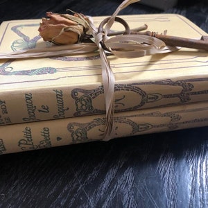 1930&#39;s French books various Authors Set of 2