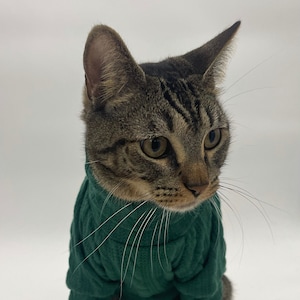 Strickpullover mit Katzenmotiv
