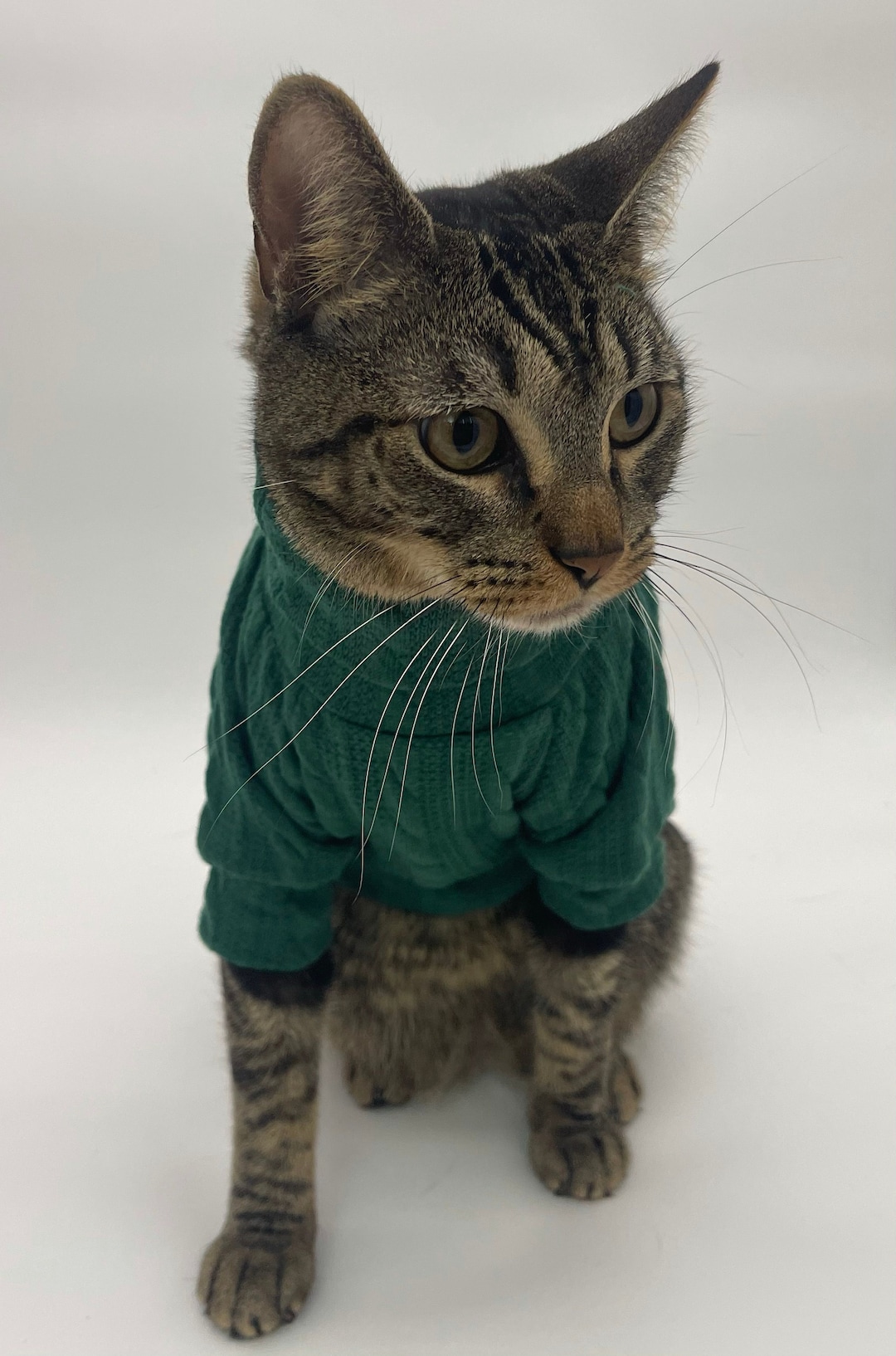 Green Cat Sweater Etsy