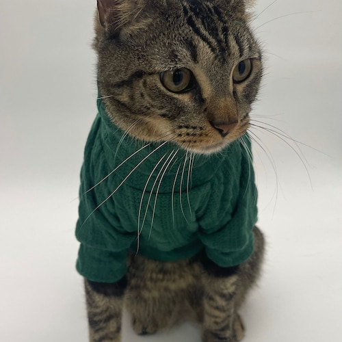 Stickad katttröja