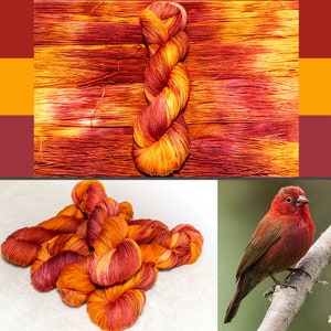 Firefinch - hand dyed yarn - sock, fingering -Size 1 - Needle US 1-2 Hook D3 - red gold orange maroon yellow