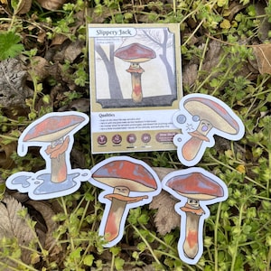 Slippery Jack Mushroom Sticker Set: Hand-Drawn Fungi Art Card