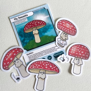 Fly Amanita Mushroom Collector Card & Sticker Set – Hand-Drawn Mushroom Art – Fungi Character Stickers – Meet the Mushroom Susrooms