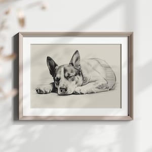 Australian Cattle Dog Pencil Sketch Art Print (Digital Download)