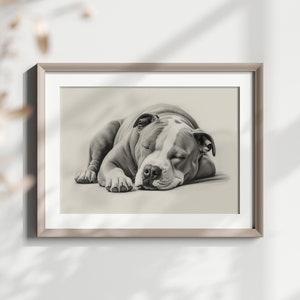 May include: A black and white drawing of a dog sleeping. The dog is a pit bull terrier with a white patch on its chest. The drawing is framed in a light brown frame.