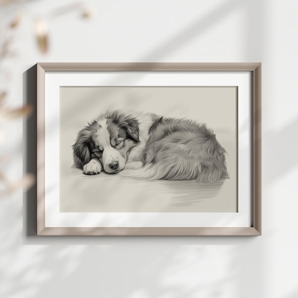 Australian Shepherd Art Print - Australian Shepherd Drawing - Wall Decor - Pencil Sketch - Digital Art