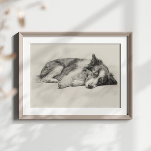 Border Collie Pencil Sketch Art Print: Dog Wall Decor (Digital Download)
