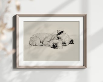 Mini Schnauzer Print - Mini Schnauzer Drawing - Wall Decor - Pencil Sketch - Digital Art