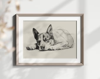 Australian Cattle Dog Art Print - Australian Cattle Dog Drawing - Wall Decor - Pencil Sketch - Digital Art