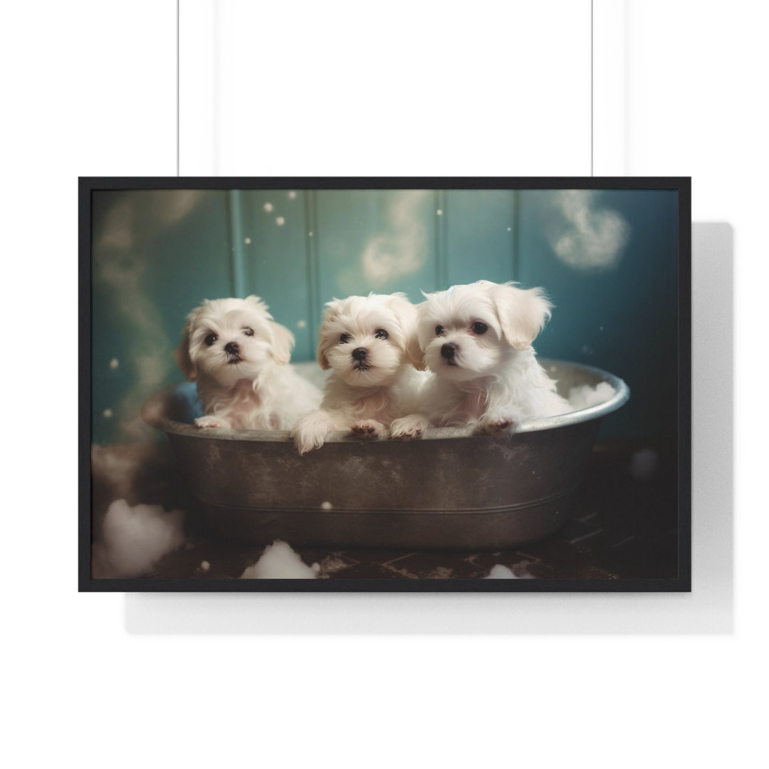 Maltese Wall Art, Funny Bathroom Print, Dog Bathroom Print, Bathroom