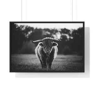 Black and White Highland Cow Print, Scottish Cattle Wall Art, Modern Farmhouse Wall Decor, Funky Home Decor, Bedroom Decor, Man Cave Decor