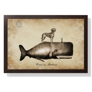 May include: A vintage-style illustration of a dog wearing sunglasses standing on top of a whale. The image is printed on a textured, aged paper background. The text "Canis in Balaena" is printed below the whale.