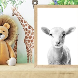 Safari Kinderzimmer Kunst, Baby Lamm Druck, DRUCKBARE Kunst, Safari Tiere Wandkunst, Baby Lamm, Safari Kinderzimmer Dekor, schwarz und weiß