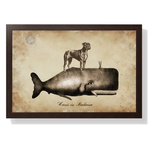 Boxer Dog Riding Whale Art Print: Funny Tea Stain Collage (Digital Download)